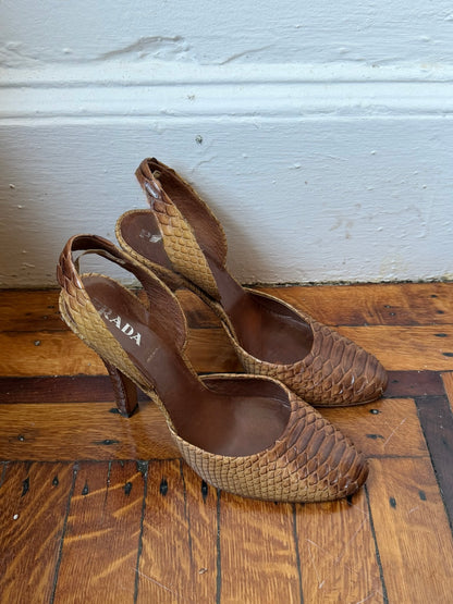 Prada Snake | Size 39