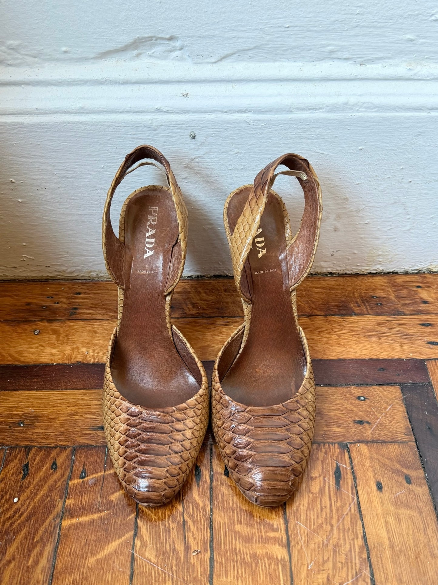 Prada Snake | Size 39