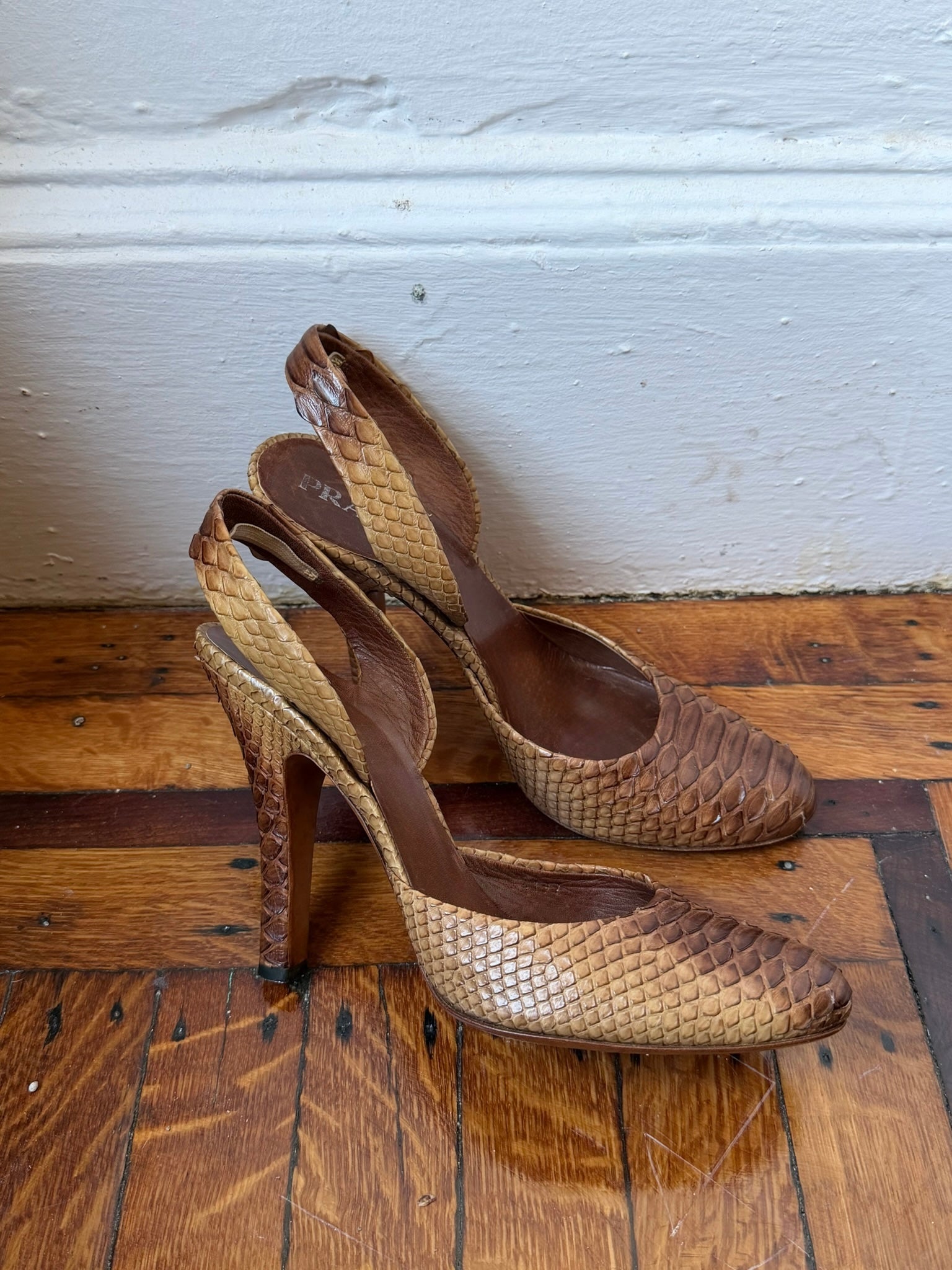 Prada Snake | Size 39